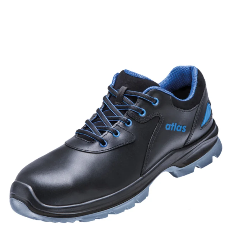 shop.doenges-rs2-268150