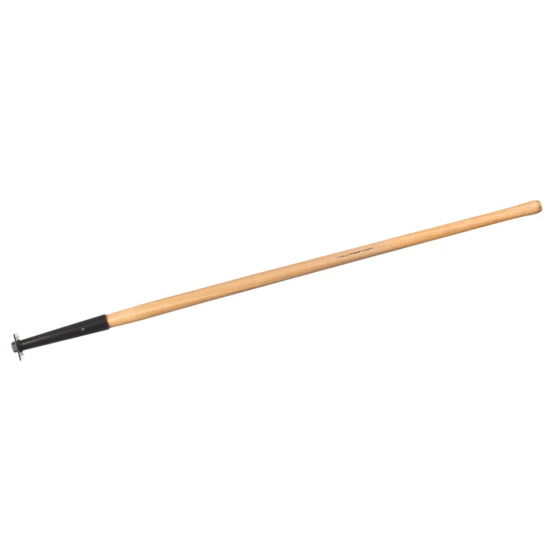 shop.doenges-rs2-269253