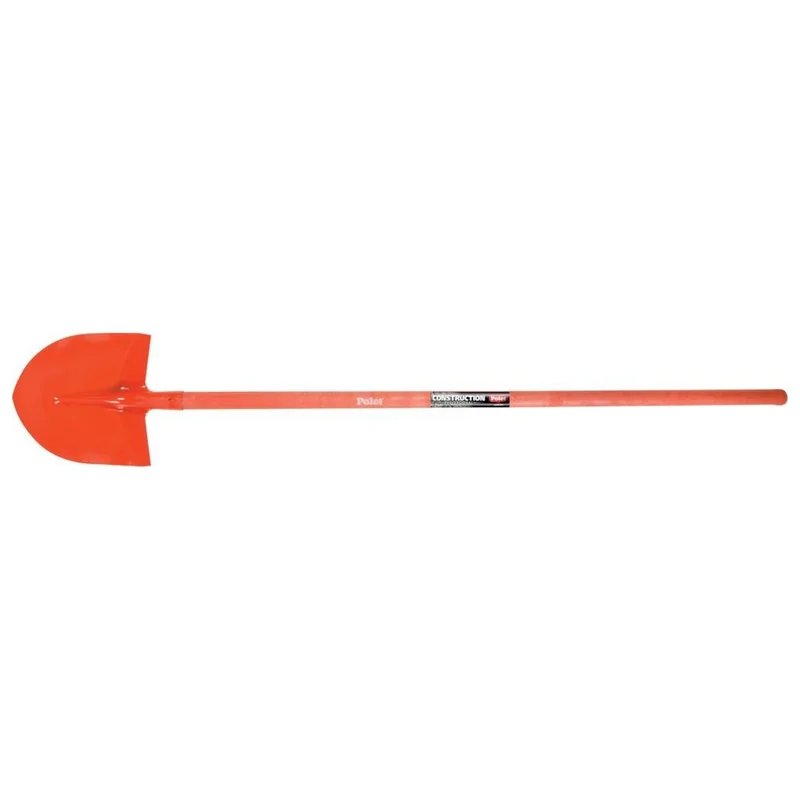 shop.doenges-rs2-269342
