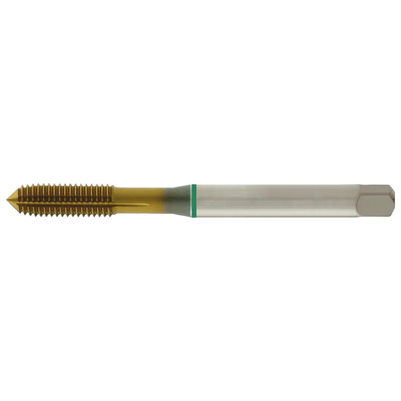 shop.doenges-rs2-269450