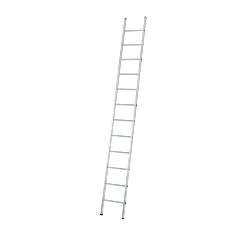 shop.doenges-rs2-274332