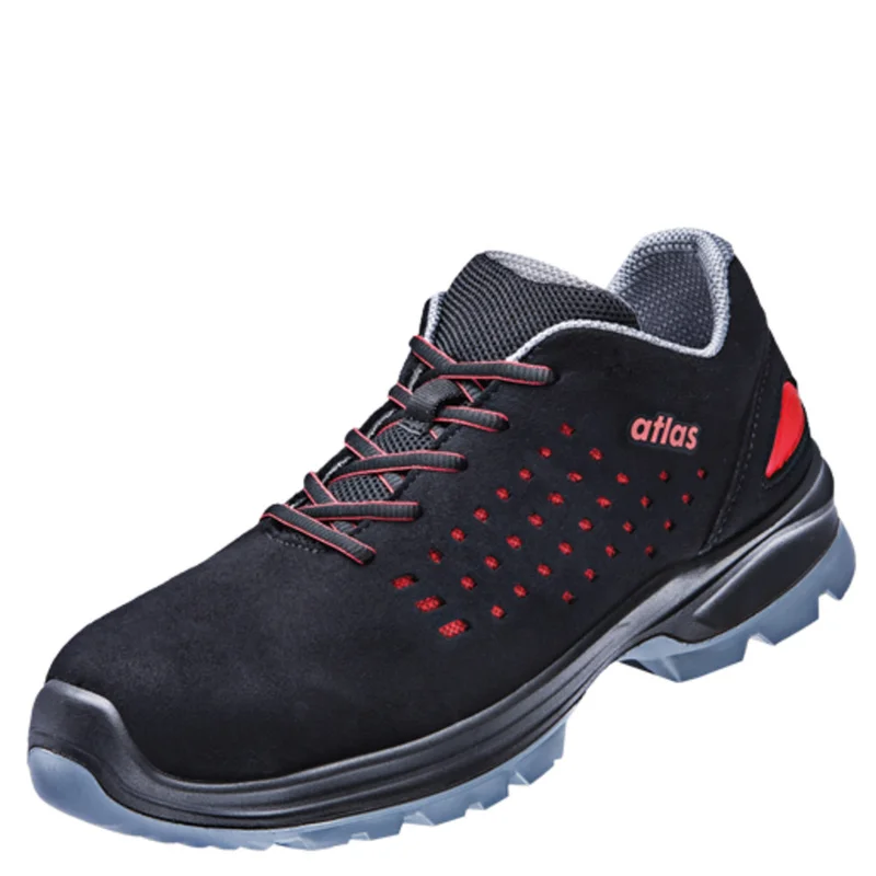 shop.doenges-rs2-275353