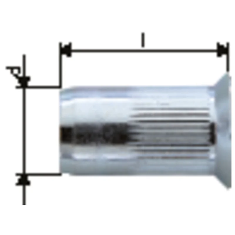 shop.doenges-rs2-275514