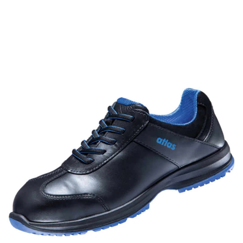 shop.doenges-rs2-275994