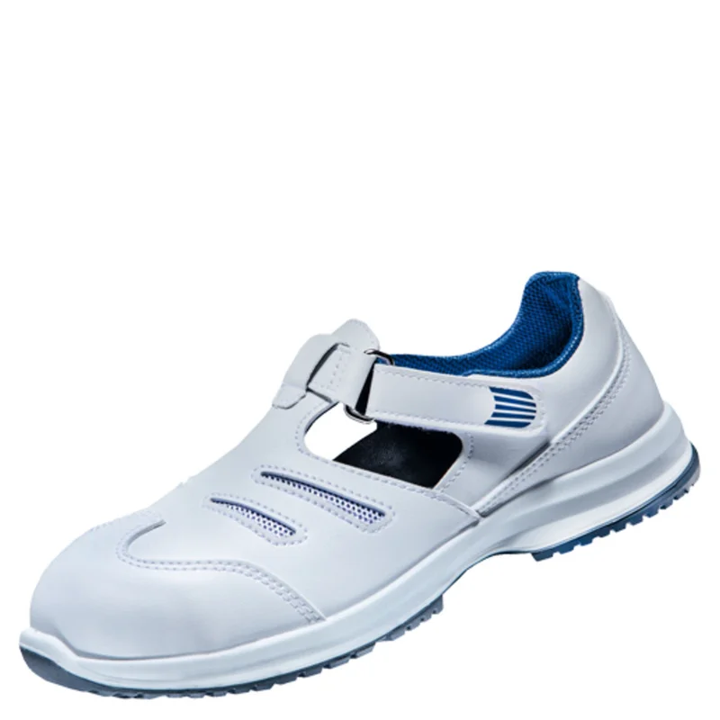 shop.doenges-rs2-277093