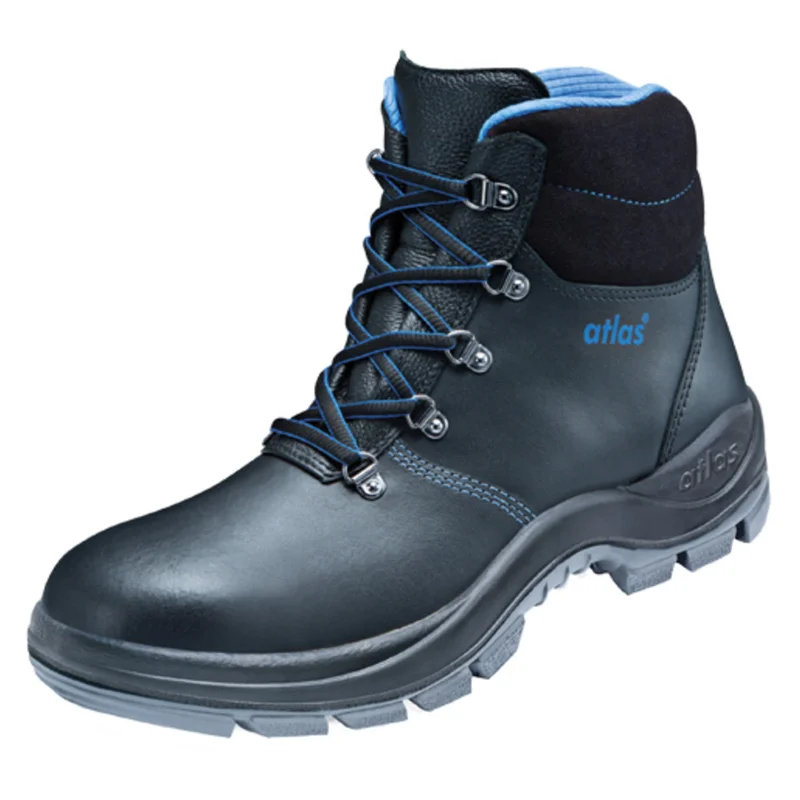 shop.doenges-rs2-278261