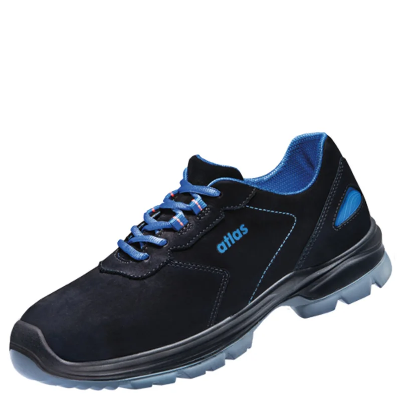 shop.doenges-rs2-278782