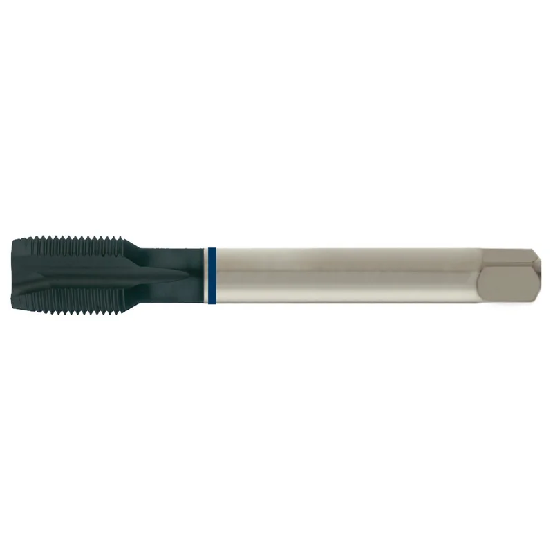 shop.doenges-rs2-279053