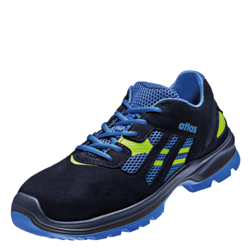 shop.doenges-rs2-279815