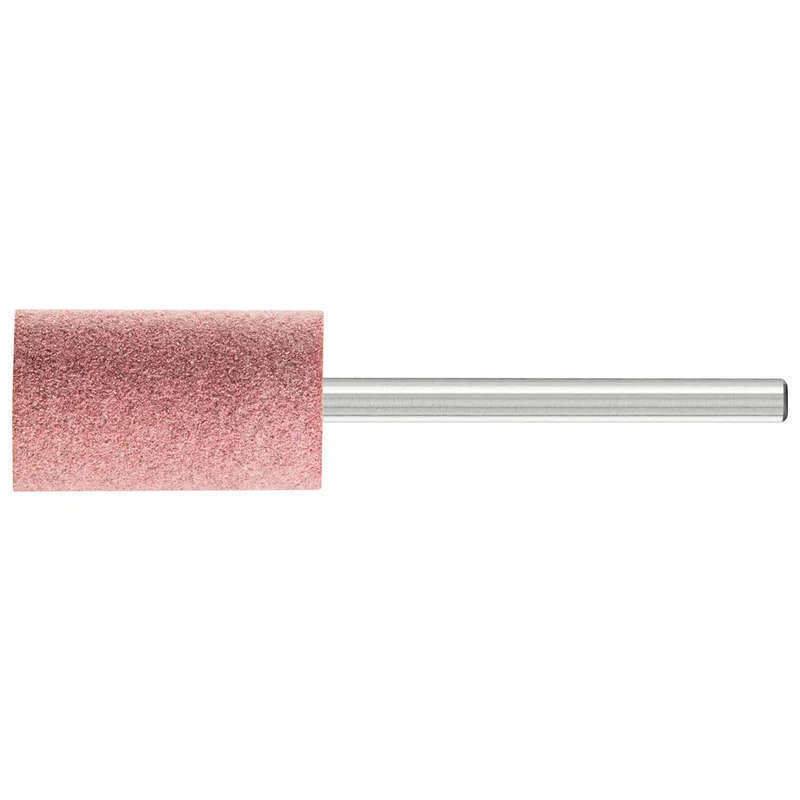 shop.doenges-rs2-281711