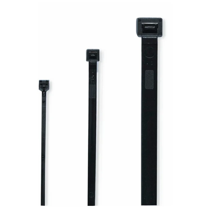shop.doenges-rs2-281731