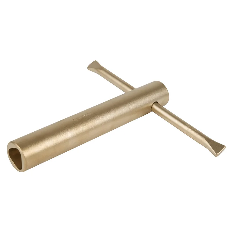 shop.doenges-rs2-282537