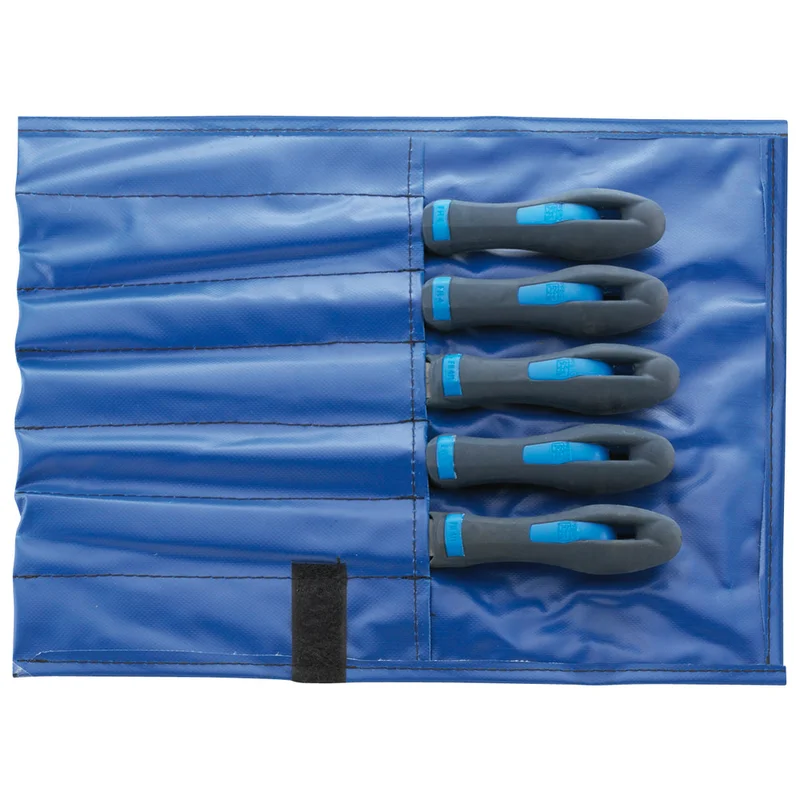 shop.doenges-rs2-283021