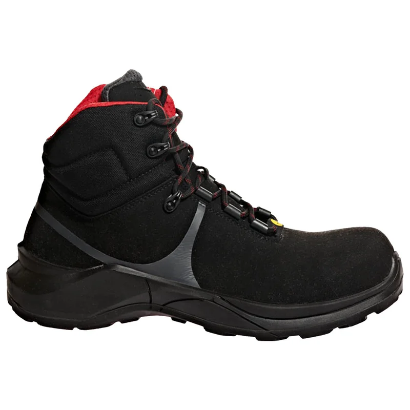 shop.doenges-rs2-283828