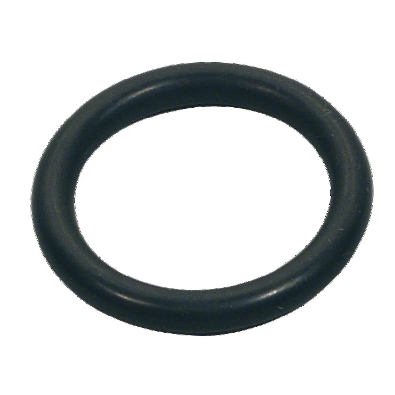 shop.doenges-rs2-284131