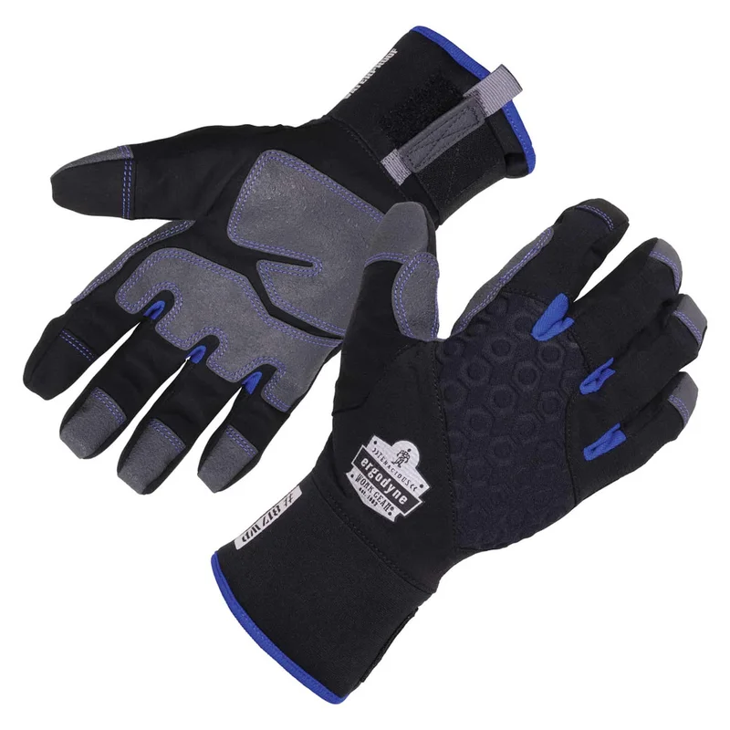 shop.doenges-rs2-284142
