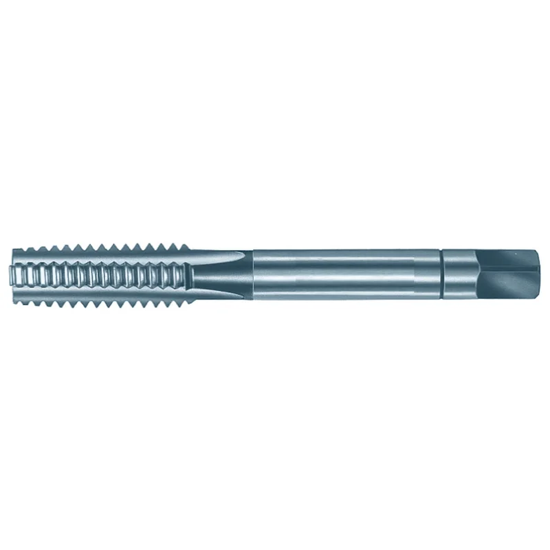 shop.doenges-rs2-284523
