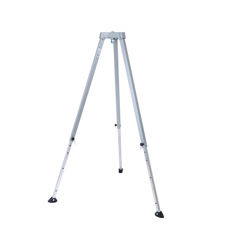 shop.doenges-rs2-284633