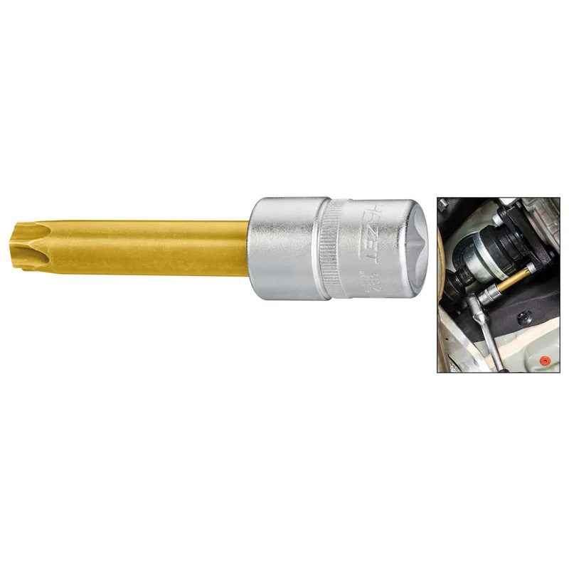 shop.doenges-rs2-284634