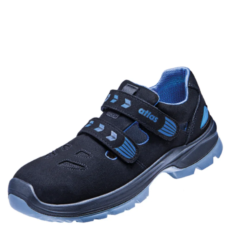 shop.doenges-rs2-285880
