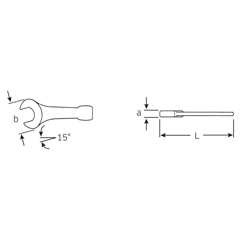 shop.doenges-rs2-286040