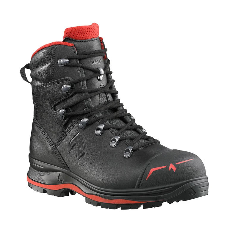 shop.doenges-rs2-286878