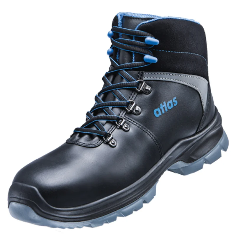 shop.doenges-rs2-287254