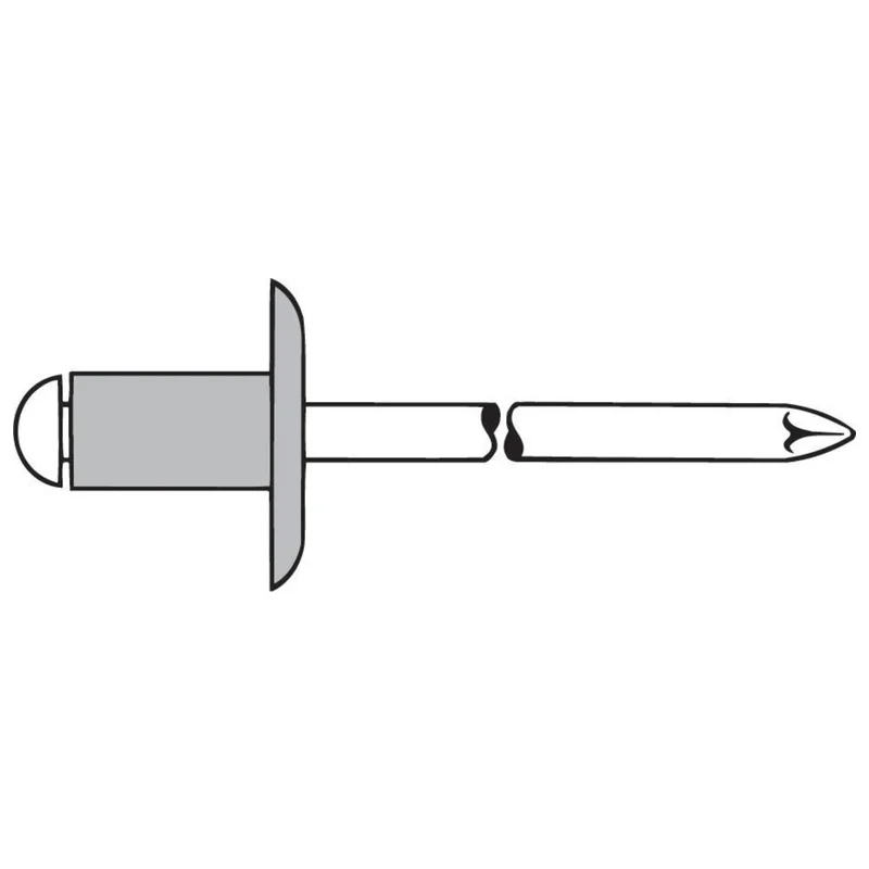 shop.doenges-rs2-289137