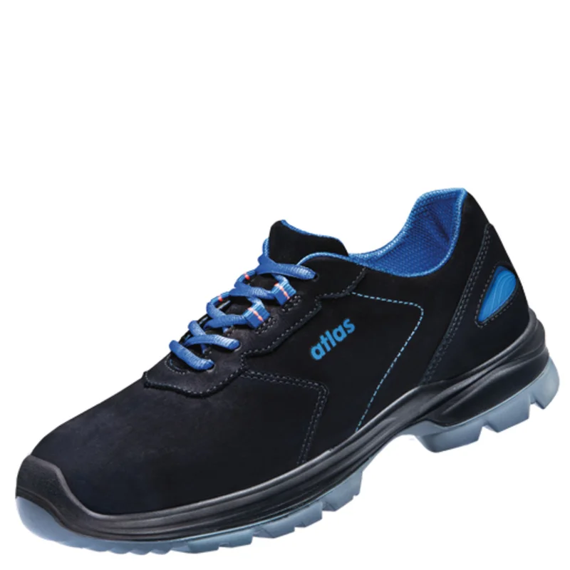 shop.doenges-rs2-289574