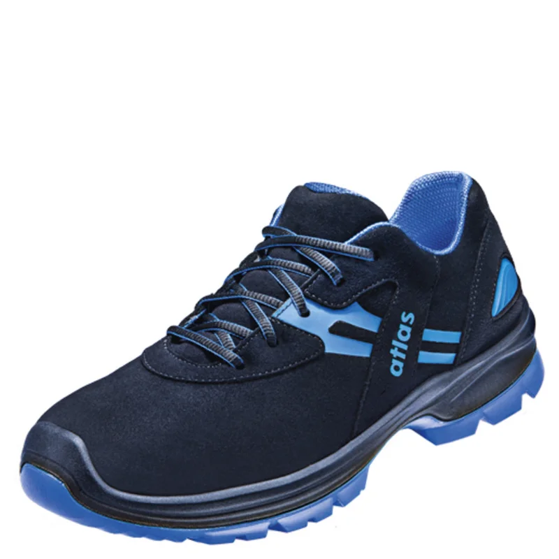 shop.doenges-rs2-292748