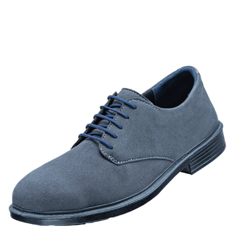 shop.doenges-rs2-293466