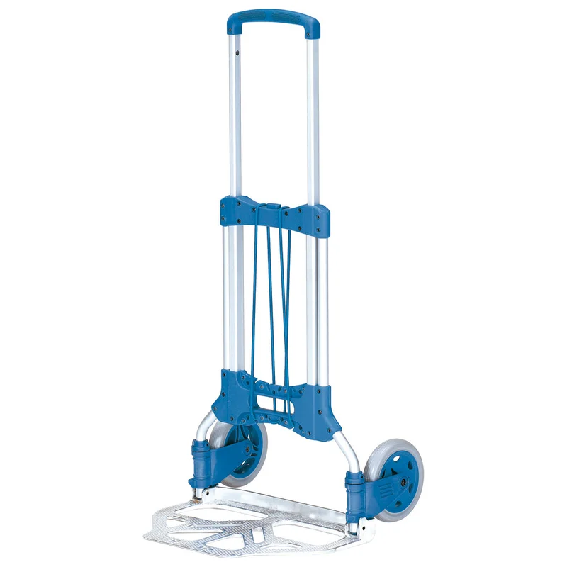 shop.doenges-rs2-294709