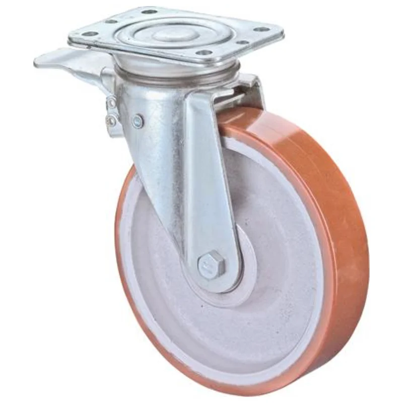 shop.doenges-rs2-294844