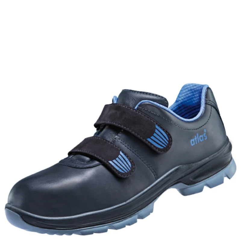 shop.doenges-rs2-295549