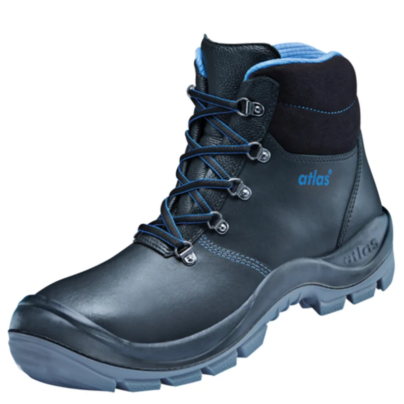 shop.doenges-rs2-295636