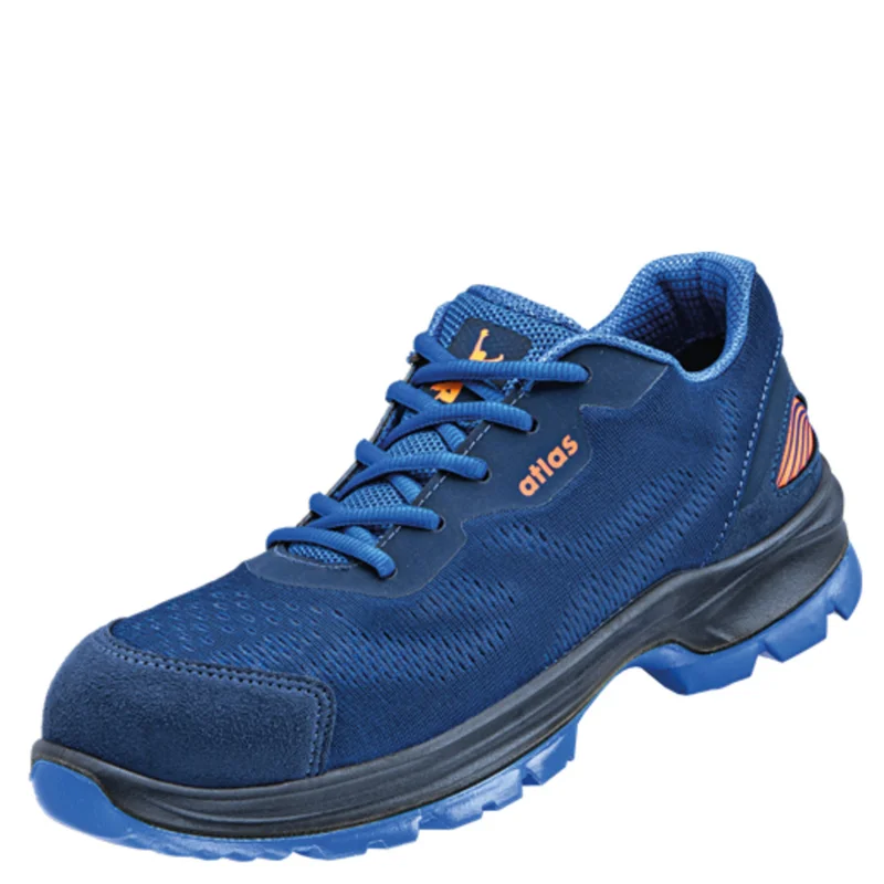 shop.doenges-rs2-296235