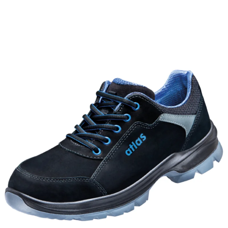 shop.doenges-rs2-296331