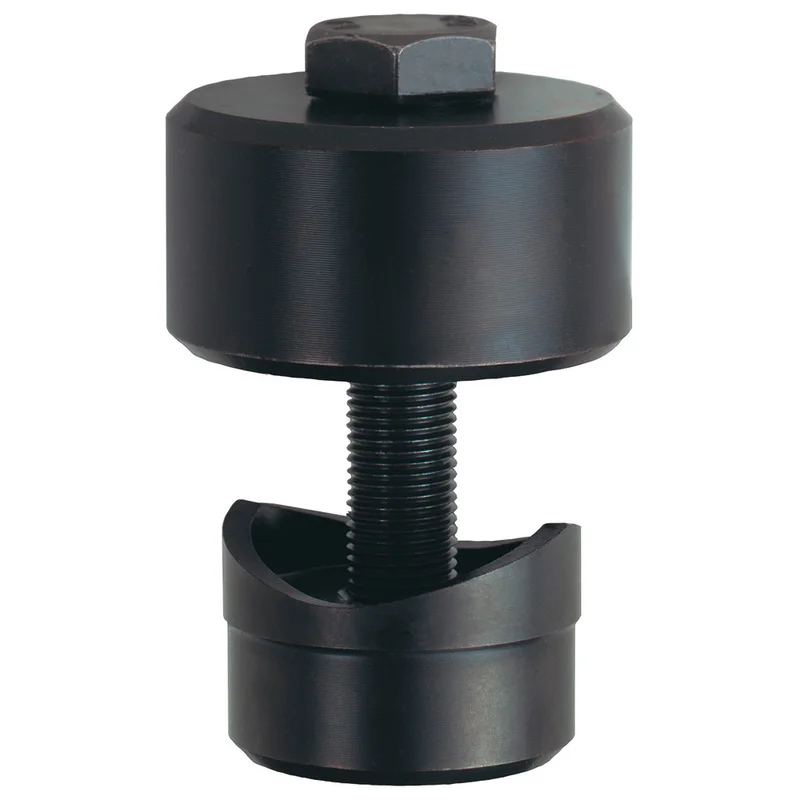 shop.doenges-rs2-297617