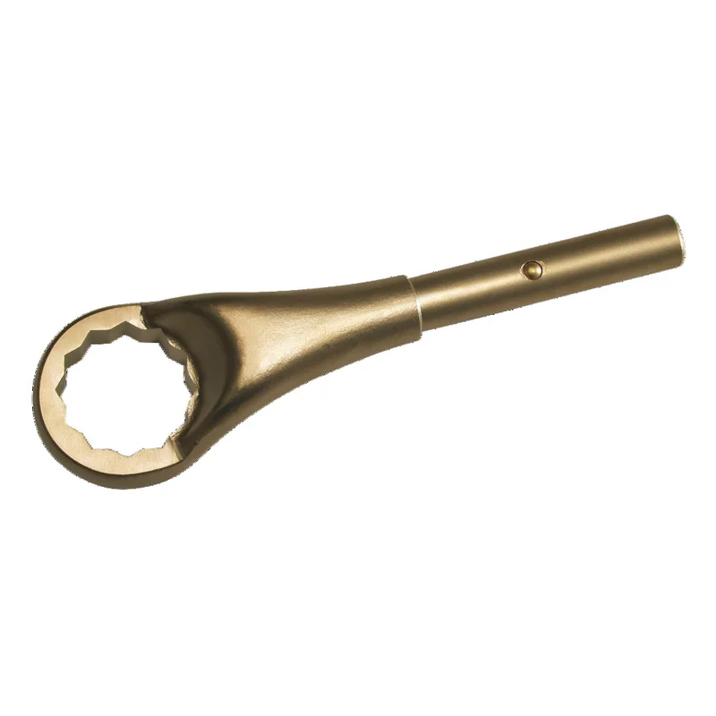 shop.doenges-rs2-298322