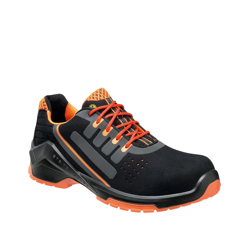 shop.doenges-rs2-299947