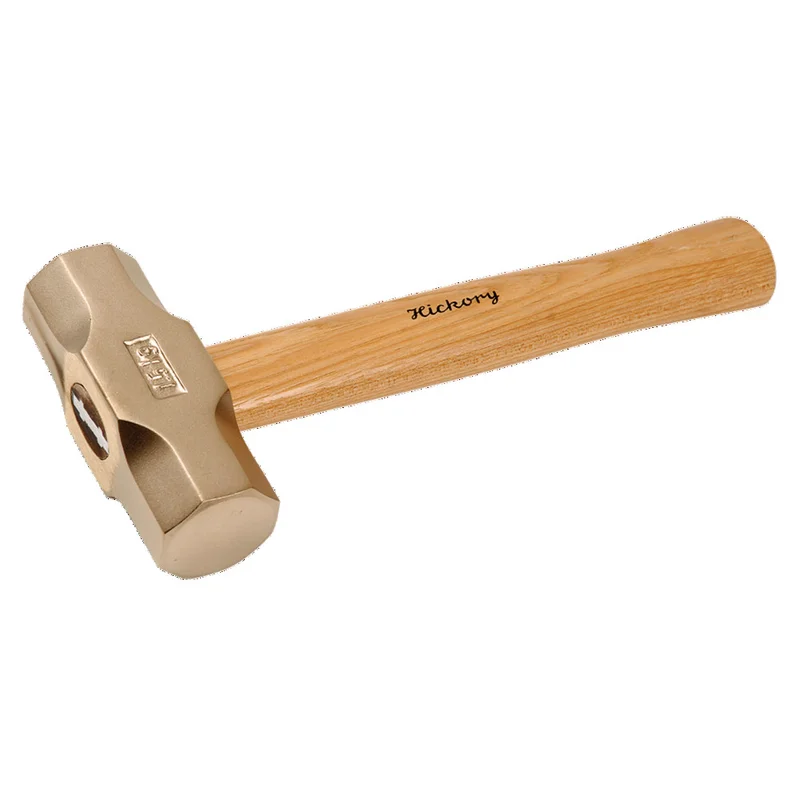 shop.doenges-rs2-300010