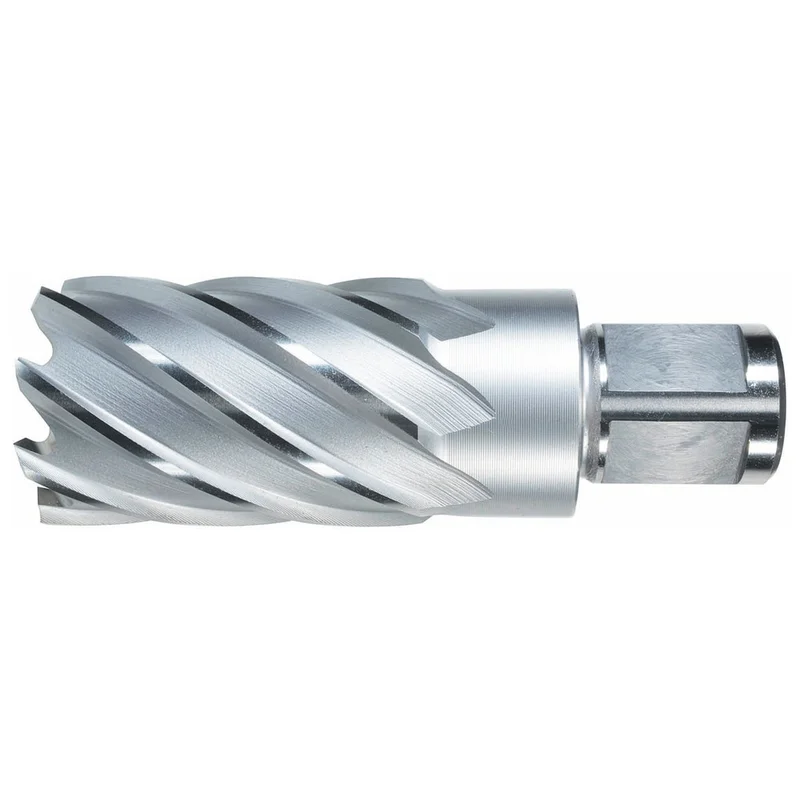 shop.doenges-rs2-300202