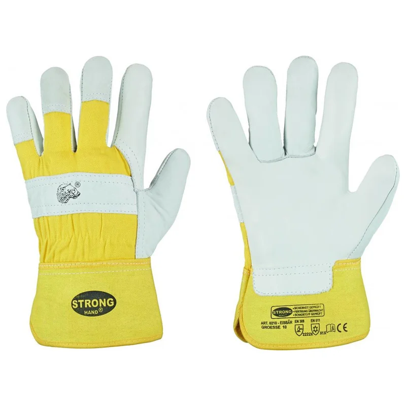 shop.doenges-rs2-308337