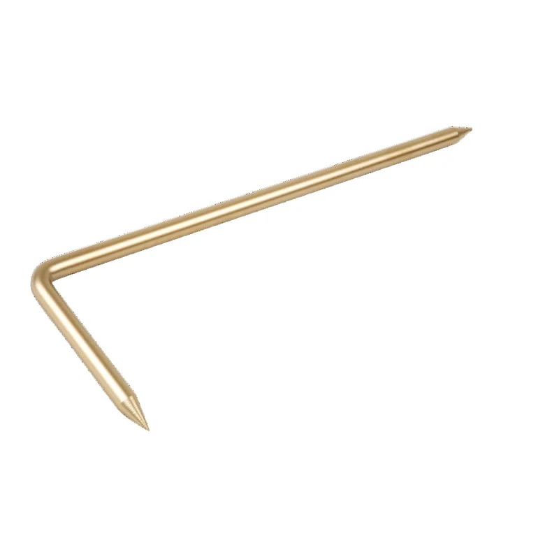 shop.doenges-rs2-310554