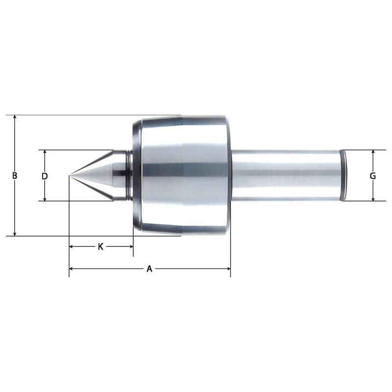 shop.doenges-rs2-325905