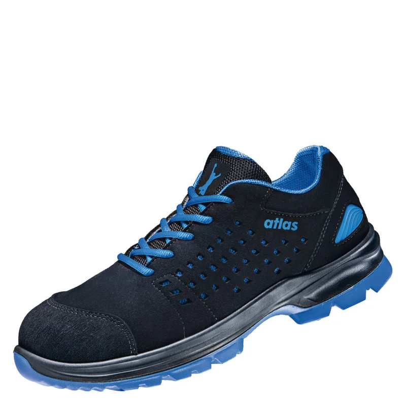 shop.doenges-rs2-329851