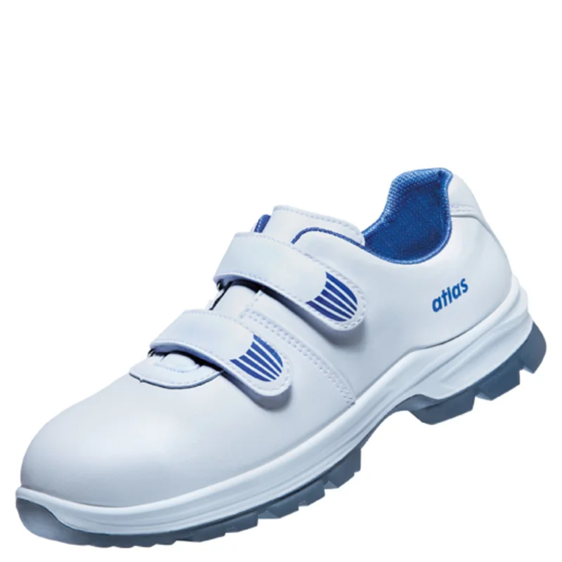 shop.doenges-rs2-353962