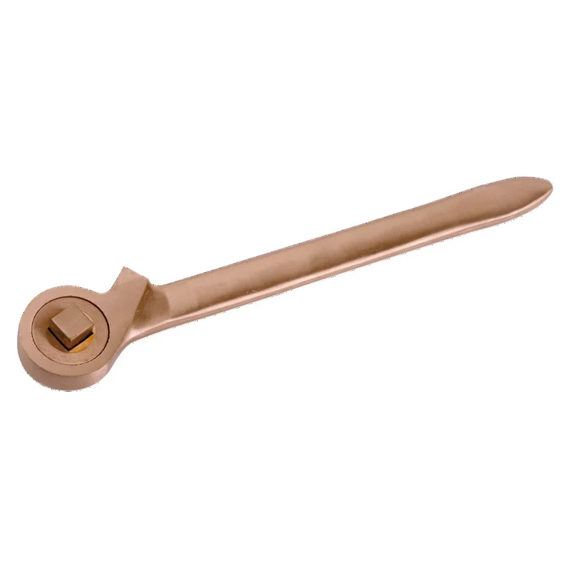 shop.doenges-rs2-379925