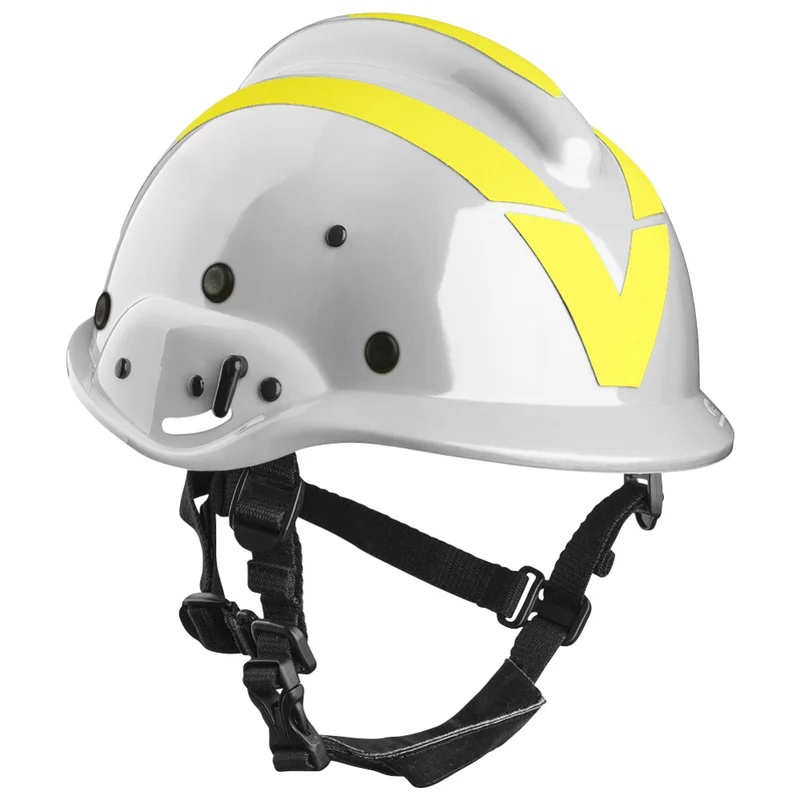 shop.doenges-rs2-383475