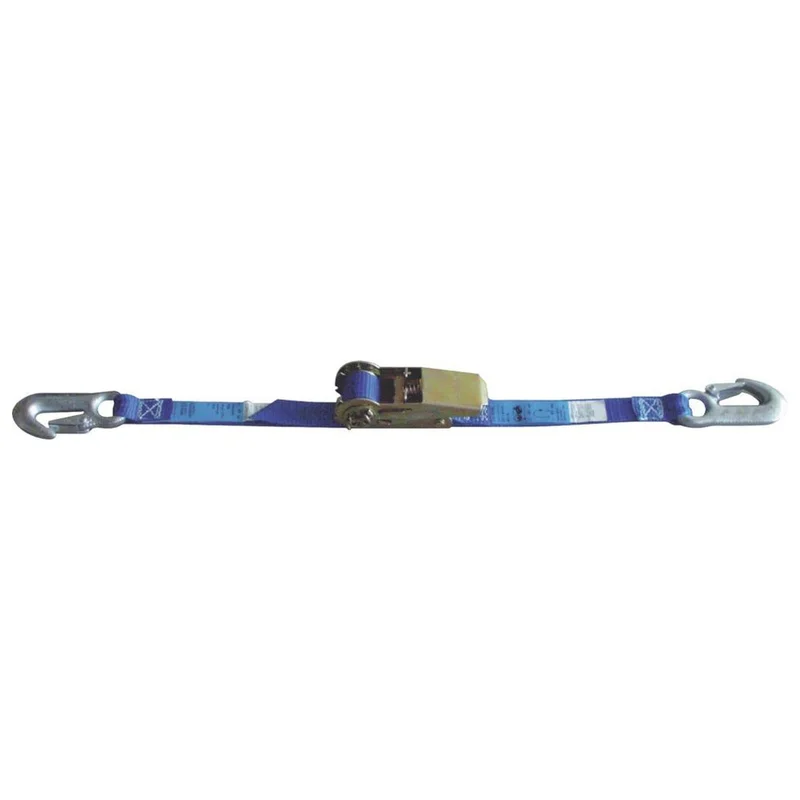 shop.doenges-rs2-384745